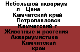 Небольшой аквариум 30л › Цена ­ 1 600 - Камчатский край, Петропавловск-Камчатский г. Животные и растения » Аквариумистика   . Камчатский край